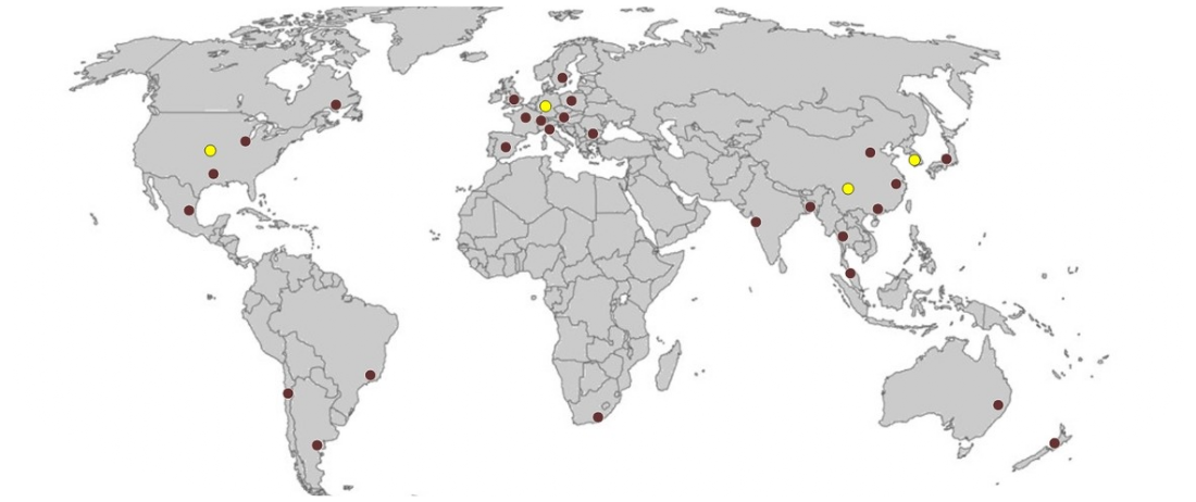 Global Network